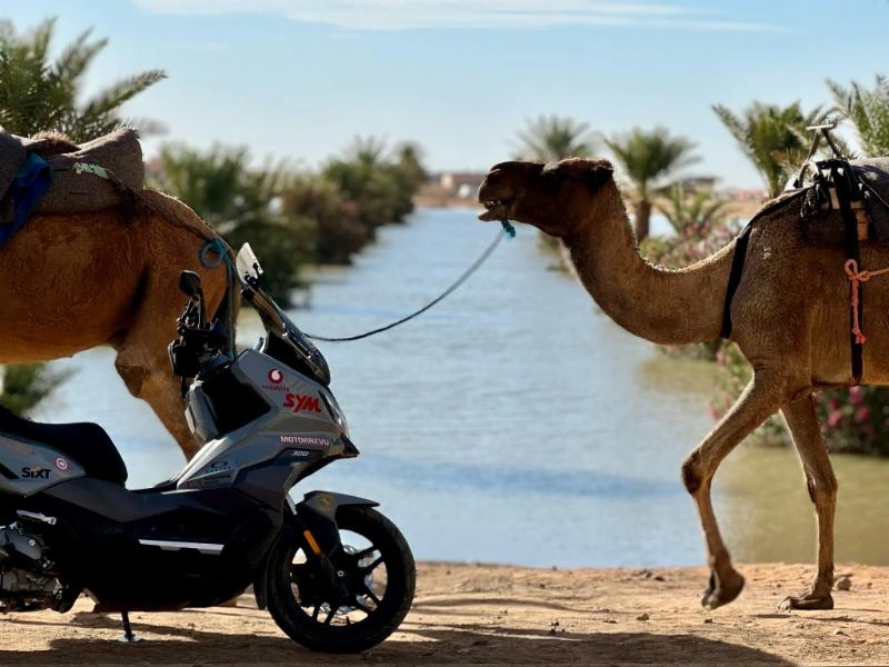 Scooter2Dakar - from Budapest to Dakar with ADX 300