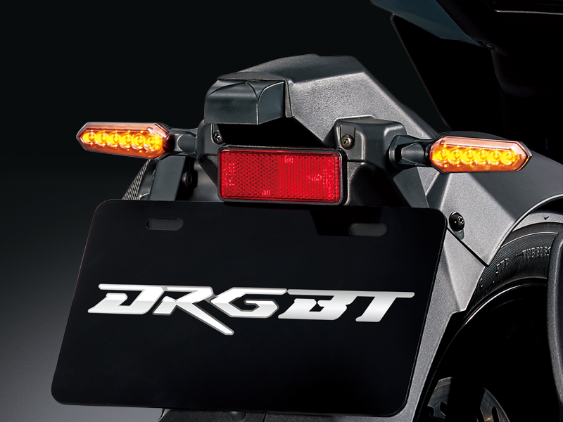 Sequential LED Turn Signal Light(Rear)